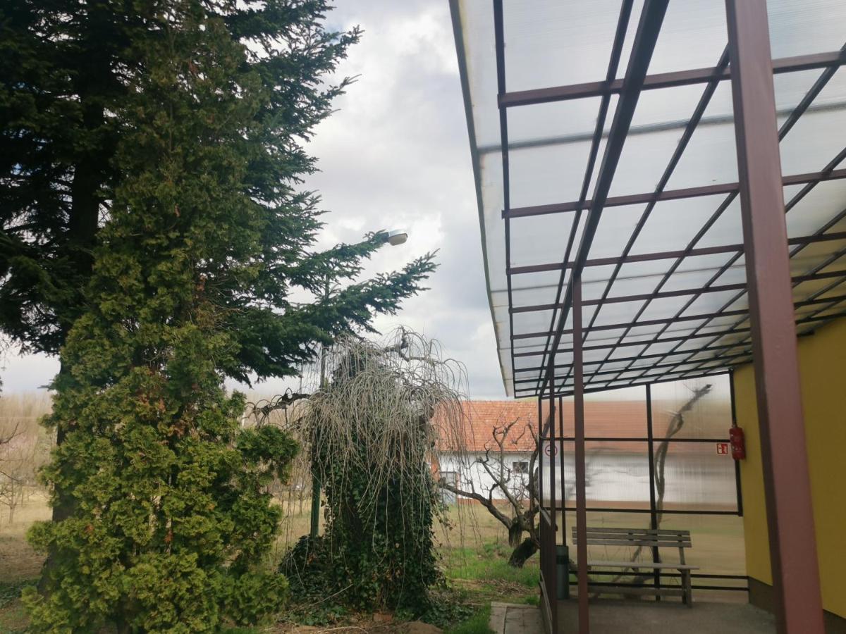 Podlovics Tanya Panzio Apartment Kemecse Exterior foto