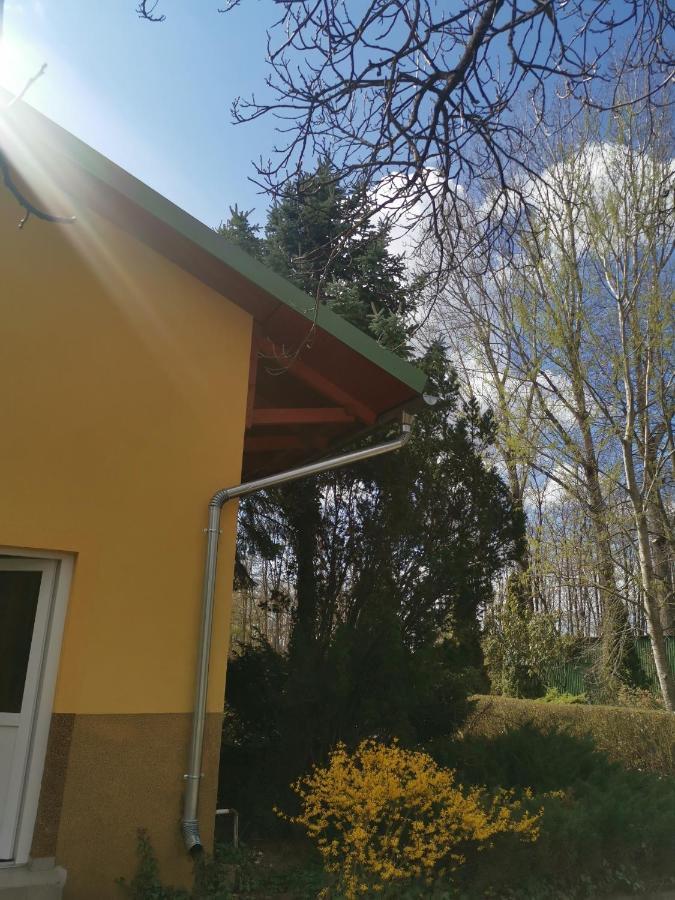 Podlovics Tanya Panzio Apartment Kemecse Exterior foto